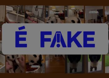É #FAKE vídeo de cachorro entrando em casa com filhote de panda na boca; cena foi criada com inteligência artificial