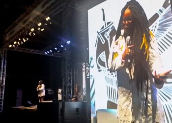 “Racismo foi reduzido a chamar alguém de macaco”, critica escritora