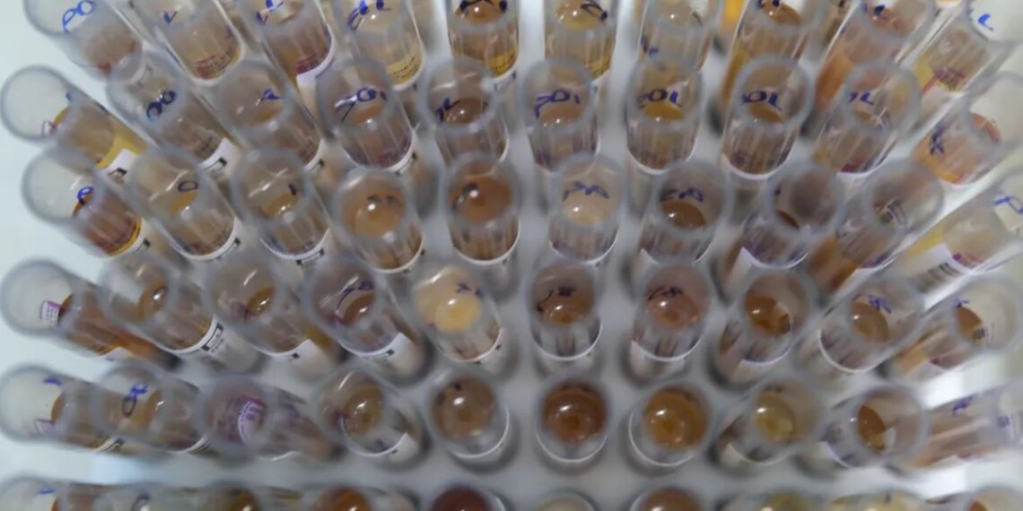 Uso de medicamento oferecido no SUS reduz casos de malária no Brasil
