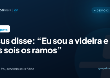 Jesus disse: “Eu sou a videira e vós sois os ramos”
