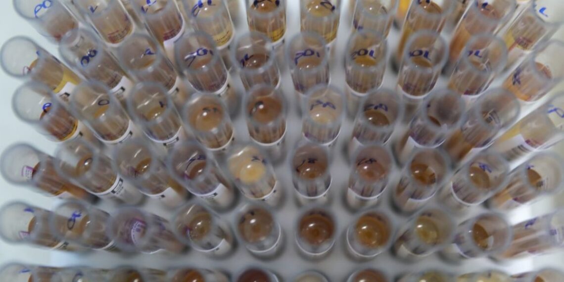 Uso de medicamento oferecido no SUS reduz casos de malária no Brasil