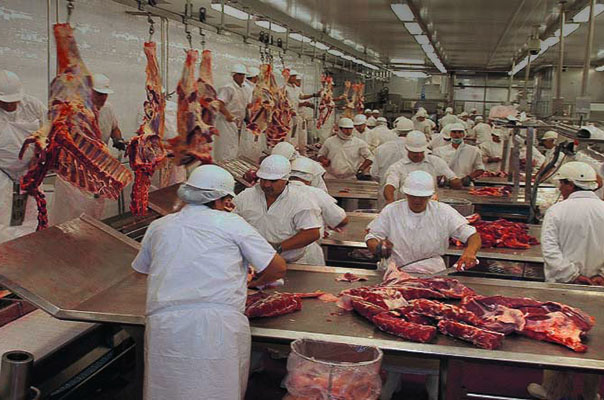 ‘O impacto será menor do que o estimado’, avalia Acrimat sobre ‘boicote’ da UE