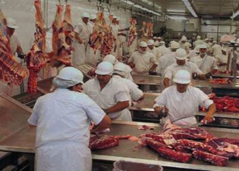 ‘O impacto será menor do que o estimado’, avalia Acrimat sobre ‘boicote’ da UE