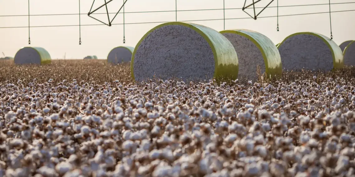 Entenda mudança no mapa que tirou Sorriso do topo da produção agrícola