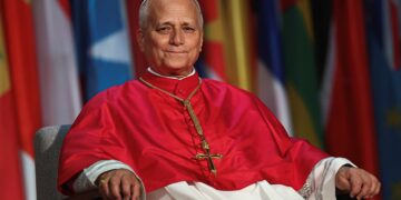 Papa Leão XIV diz que temores de que IA possa destruir o mundo 'não são fake news'