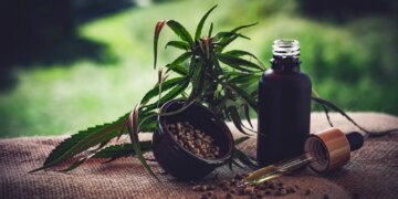 Para associações, normas ainda deixam pontos em aberto sobre cannabis