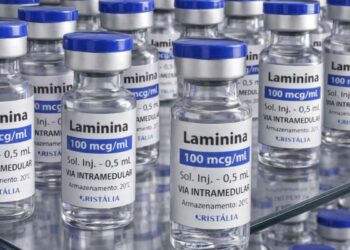 Testes clínicos fase 1 da polilaminina começam este mês