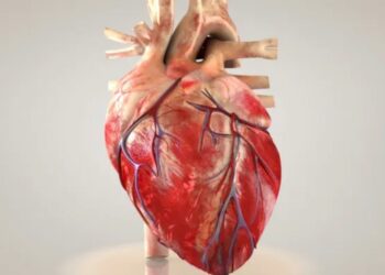 A cada 72 segundos, uma pessoa morre por doença cardiovascular no país