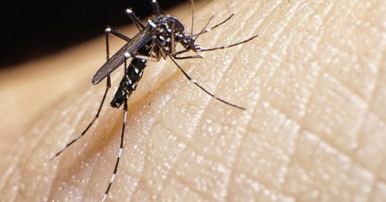 Mudanças climáticas já causam aumento de doenças infecciosas no país