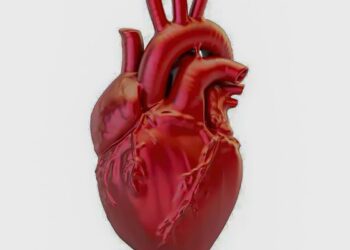 A cada 72 segundos, uma pessoa morre por doença cardiovascular no país