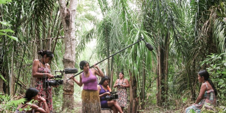 Saiba as propostas dos presidenciáveis para Amazônia e indígenas