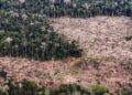 Conheça as propostas de Lula e Flávio para enfrentar a crise climática