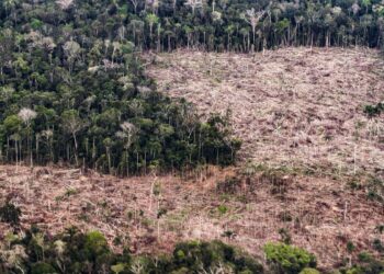 Conheça as propostas de Lula e Flávio para enfrentar a crise climática