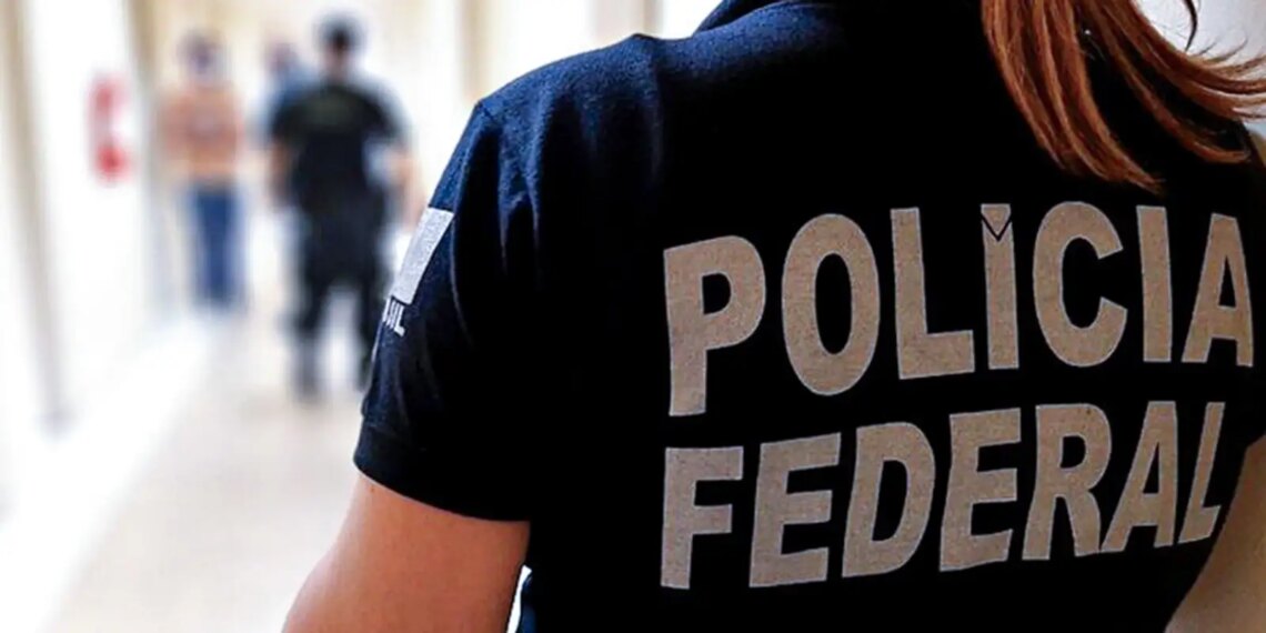 PF já apreendeu R$ 33 mi e prendeu 28 por crimes eleitorais neste ano